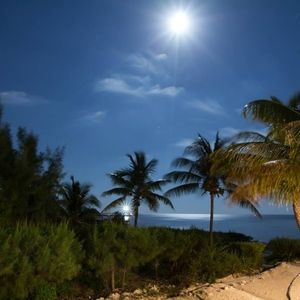 Meet your Posher, Albania